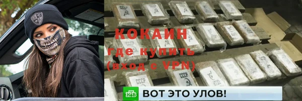 шишки Заволжье