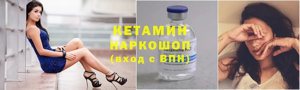 шишки Заволжье