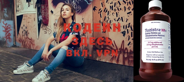 шишки Заволжье