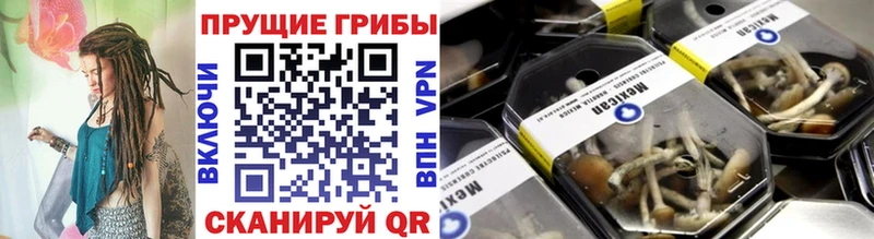 Купить закладки  Югорск  Галлюциногенные грибы MAGIC MUSHROOMS 